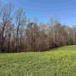Photo #39 of Paynes Pond Road, Scottsville, VA 118.0 acres