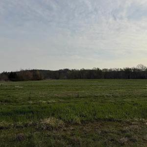 Photo #4 of Paynes Pond Road, Scottsville, VA 118.0 acres