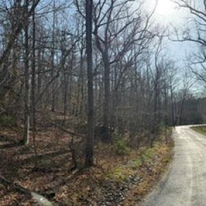 Photo #40 of Paynes Pond Road, Scottsville, VA 118.0 acres
