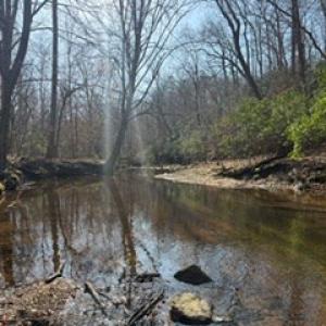 Photo #41 of Paynes Pond Road, Scottsville, VA 118.0 acres