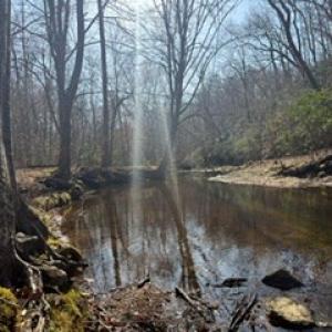 Photo #42 of Paynes Pond Road, Scottsville, VA 118.0 acres