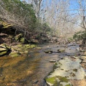 Photo #43 of Paynes Pond Road, Scottsville, VA 118.0 acres