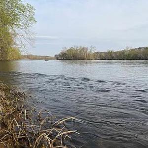 Photo #5 of Paynes Pond Road, Scottsville, VA 118.0 acres