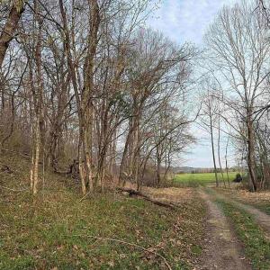 Photo #6 of Paynes Pond Road, Scottsville, VA 118.0 acres