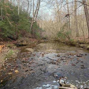 Photo #7 of Paynes Pond Road, Scottsville, VA 118.0 acres