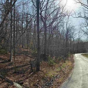 Photo #8 of Paynes Pond Road, Scottsville, VA 118.0 acres