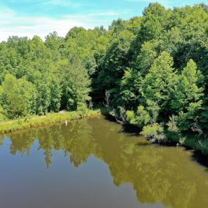 Photo #15 of Birch Elmo Road, South Boston, VA 48.6 acres