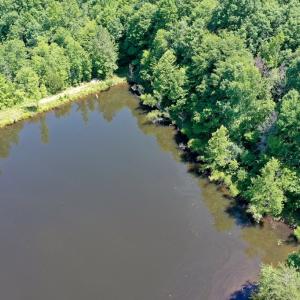Photo #16 of Birch Elmo Road, South Boston, VA 48.6 acres