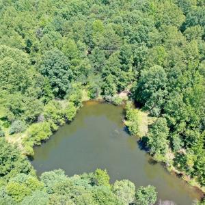 Photo #17 of Birch Elmo Road, South Boston, VA 48.6 acres