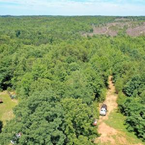 Photo #19 of Birch Elmo Road, South Boston, VA 48.6 acres