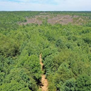 Photo #20 of Birch Elmo Road, South Boston, VA 48.6 acres