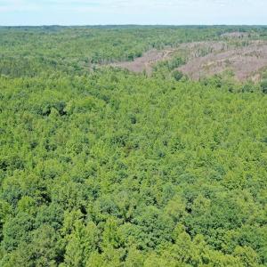 Photo #21 of Birch Elmo Road, South Boston, VA 48.6 acres