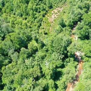 Photo #22 of Birch Elmo Road, South Boston, VA 48.6 acres