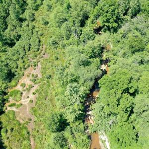 Photo #23 of Birch Elmo Road, South Boston, VA 48.6 acres