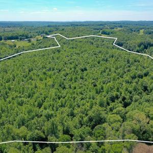 Photo #28 of Birch Elmo Road, South Boston, VA 48.6 acres