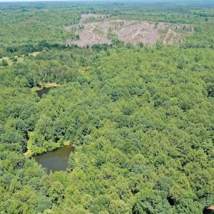 Photo #7 of Birch Elmo Road, South Boston, VA 48.6 acres