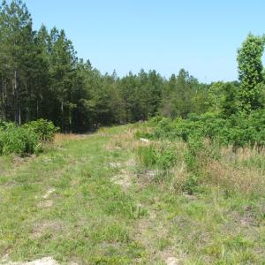 View of property