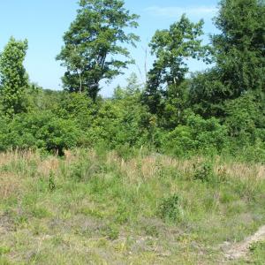 View of property