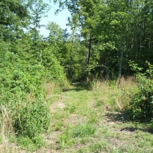 View of property