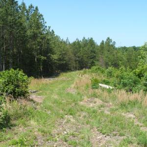 View of property