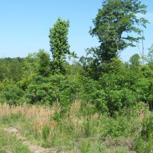 View of property
