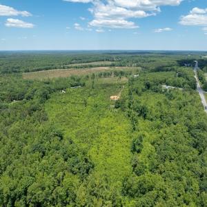 Photo #17 of 153 West Stokes Road, Green Bay, VA 11.6 acres