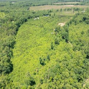 Photo #18 of 153 West Stokes Road, Green Bay, VA 11.6 acres