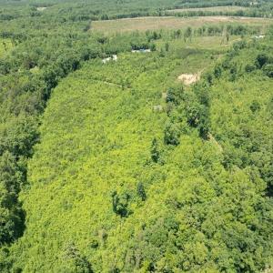 Photo #19 of 153 West Stokes Road, Green Bay, VA 11.6 acres