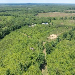 Photo #21 of 153 West Stokes Road, Green Bay, VA 11.6 acres