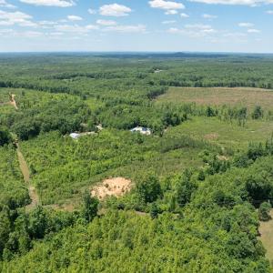 Photo #23 of 153 West Stokes Road, Green Bay, VA 11.6 acres