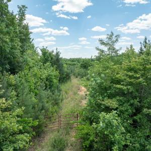 Photo #3 of 153 West Stokes Road, Green Bay, VA 11.6 acres