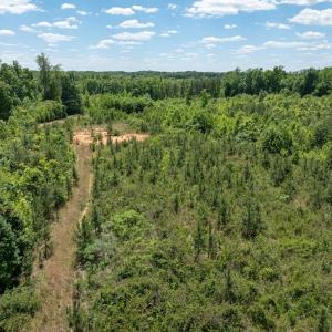 Photo #31 of 153 West Stokes Road, Green Bay, VA 11.6 acres