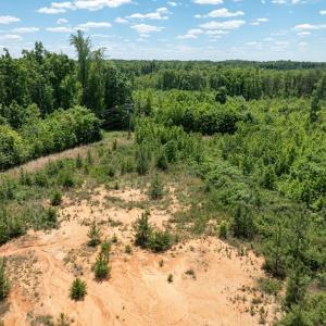 Photo #32 of 153 West Stokes Road, Green Bay, VA 11.6 acres