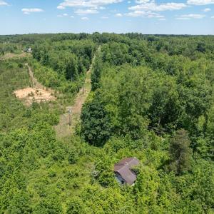 Photo #4 of 153 West Stokes Road, Green Bay, VA 11.6 acres