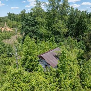 Photo #5 of 153 West Stokes Road, Green Bay, VA 11.6 acres