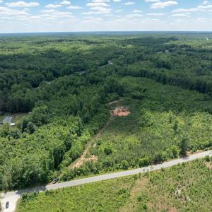 Photo #7 of 153 West Stokes Road, Green Bay, VA 11.6 acres