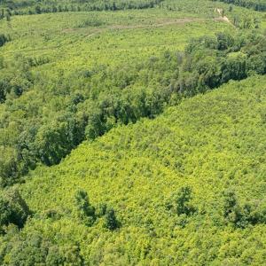 Photo #17 of West Stokes Road, Green Bay, VA 7.5 acres