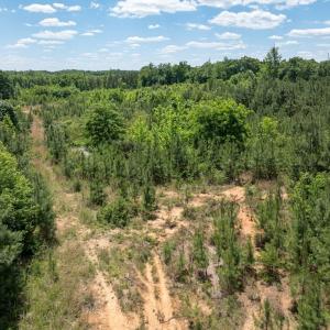 Photo #27 of West Stokes Road, Green Bay, VA 7.5 acres