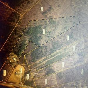 Photo #2 of 1190 Coles Ferry Road, Nathalie, VA 12.9 acres