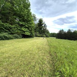 Photo #10 of 632 10.2AC Falkland Road, Meherrin, VA 10.2 acres