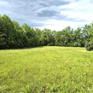 Photo #11 of 632 10.2AC Falkland Road, Meherrin, VA 10.2 acres
