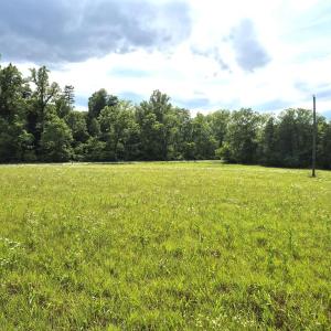 Photo #12 of 632 10.2AC Falkland Road, Meherrin, VA 10.2 acres