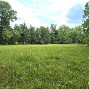 Photo #13 of 632 10.2AC Falkland Road, Meherrin, VA 10.2 acres