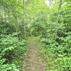 Photo #15 of 632 10.2AC Falkland Road, Meherrin, VA 10.2 acres