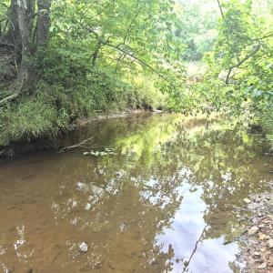 Photo #3 of 632 10.2AC Falkland Road, Meherrin, VA 10.2 acres