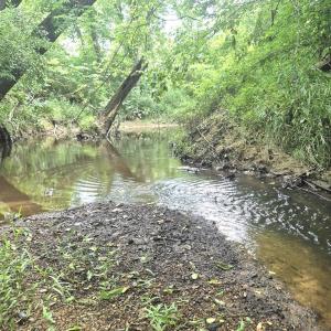 Photo #4 of 632 10.2AC Falkland Road, Meherrin, VA 10.2 acres