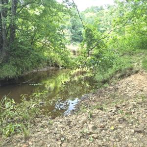 Photo #5 of 632 10.2AC Falkland Road, Meherrin, VA 10.2 acres