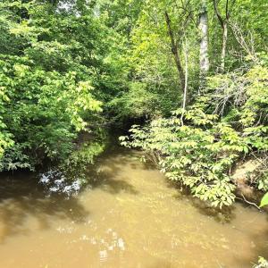 Photo #6 of 632 10.2AC Falkland Road, Meherrin, VA 10.2 acres