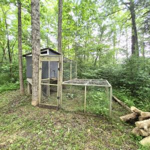 Photo #7 of 632 10.2AC Falkland Road, Meherrin, VA 10.2 acres