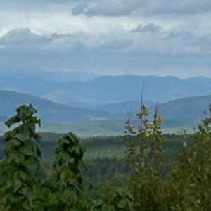 Main View